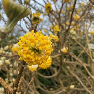 Meet your Posher, Xuan